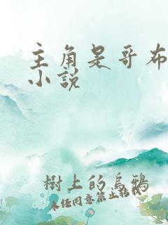 主角是哥布林的小说