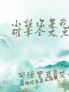 小说你是我的小确幸全文免费阅读