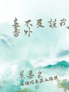 来不及说我爱你番外