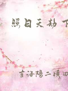 照日天劫 下载