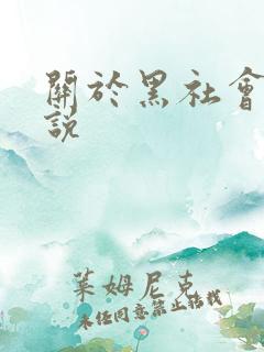 关于黑社会的小说