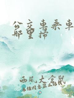 公交车乘车码在哪里扫