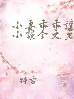 小妻乖乖让我宠小说全文免费阅读