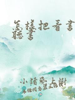 怎样把看书变成听书