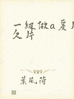 一级做a爰片久久片