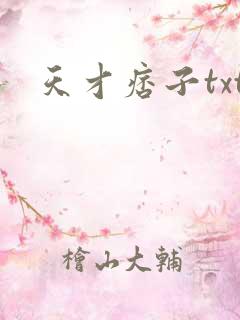 天才痞子txt