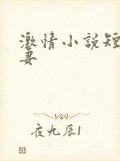 激情小说短篇人妻