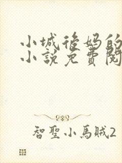 小城后妈的春天小说免费阅读