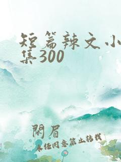 短篇辣文小说合集300