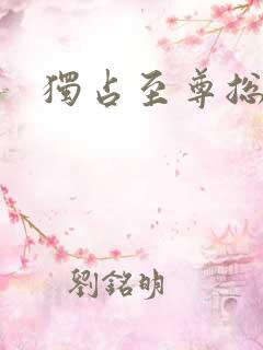 独占至尊总裁