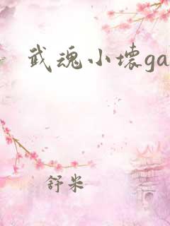 武魂小坏ga