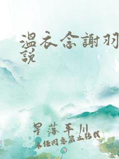 温衣念谢羽渊小说