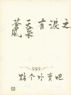 苍天有泪之军人风采