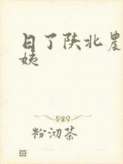 日了陕北农村婆姨