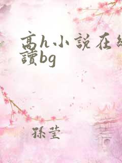 高h小说在线阅读bg