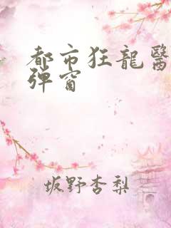 都市狂龙医仙无弹窗