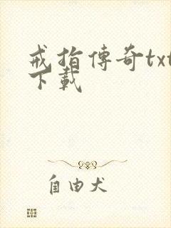 戒指传奇txt下载