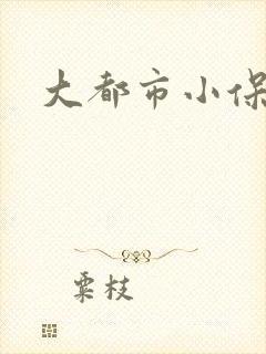 大都市小保安