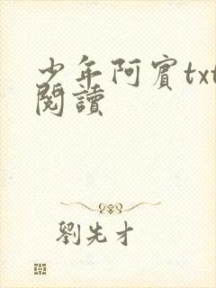 少年阿宾txt阅读
