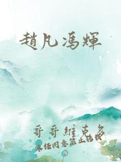 赵凡冯辉