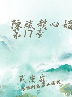 陈斌赵心媚小说第17章