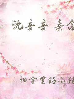 沈音音 秦念晚