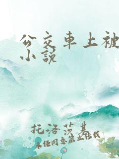 公交车上被插的小说