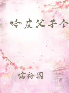 哈皮父子全集