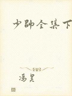 少帅全集下载