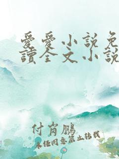 爱爱小说免费阅读全文小说乡村