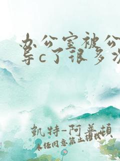 办公室被公司领导c了很多次