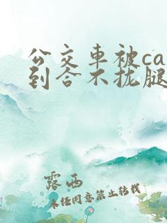 公交车被cao到合不拢腿图片