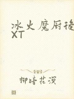 冰火魔厨后记TXT