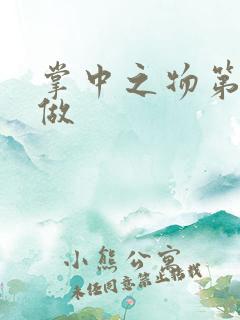 掌中之物第一次做
