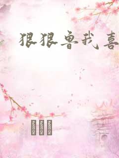 狠狠鲁我喜欢