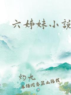 六姊妹小说