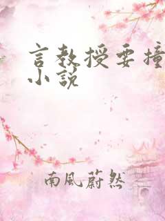 言教授要撞坏了小说