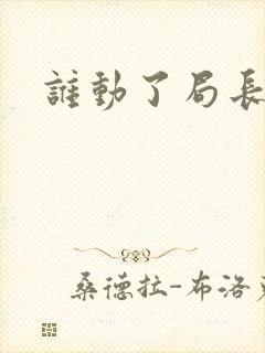 谁动了局长夫人