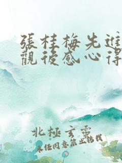 张桂梅先进事迹观后感心得范文