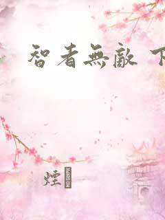 智者无敌 下载