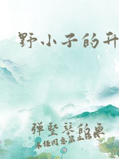野小子的升官路