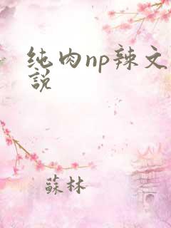 纯肉np辣文小说