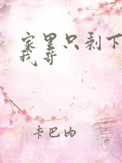 家里只剩下我和我哥