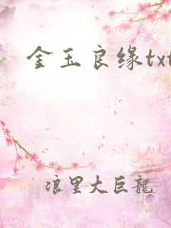 金玉良缘txt