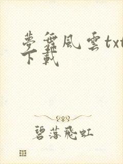 梦舞风云txt下载