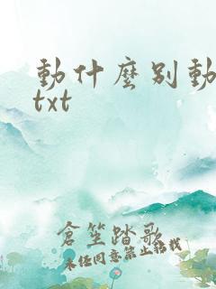 动什么别动感情txt