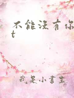 不能没有你txt