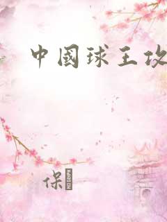中国球王攻略