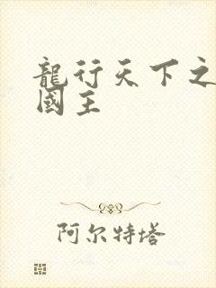 龙行天下之真假国主
