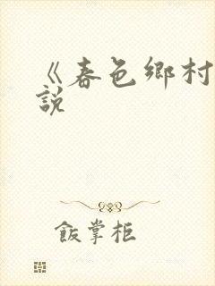 《春色乡村》小说